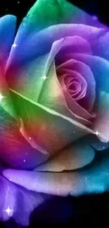 Vibrant rainbow-colored rose on black background.