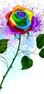 Colorful rainbow rose with green leaves wallpaper.