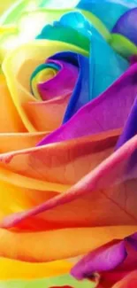 Vibrant rainbow-colored rose wallpaper.