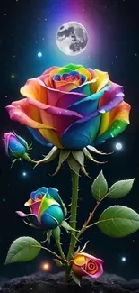 A vibrant rainbow rose under the moonlit sky at night.