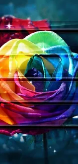 Vibrant rainbow rose against a dark background for mobile wallpaper.