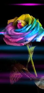 Vibrant rainbow rose with a dark backdrop.