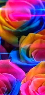 Vibrant multicolored rainbow roses wallpaper for mobile.