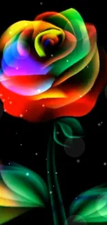 Vibrant rainbow-colored rose on a dark background.