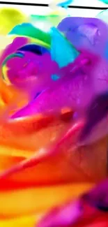 Close-up of a vibrant rainbow-colored rose with striking purple hues.