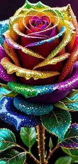 Colorful rainbow rose with sparkling droplets.