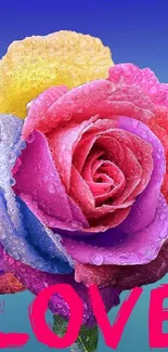 Vibrant rainbow rose with love text on blue background.