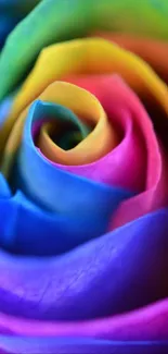 A vibrant rainbow rose wallpaper with colorful petals.