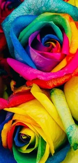 Vibrant multicolor rainbow rose mobile wallpaper.