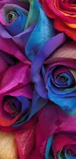 Vibrant, colorful rose petals create a stunning rainbow effect in this mobile wallpaper.