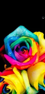 Bright, colorful rainbow roses on black background wallpaper.