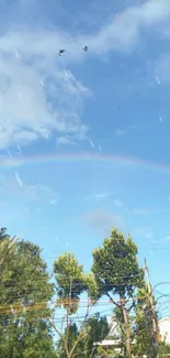 Wallpaper with a rainbow, blue sky, and trees.