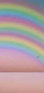 Colorful rainbow arch in a serene sunset sky with a flying bird.