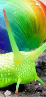 Vibrant rainbow-colored snail on textured surface.