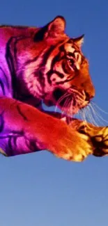 Leaping rainbow tiger against blue sky wallpaper.