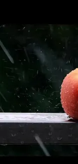 Close-up of a rain-kissed apple with water droplets against a dark green background.