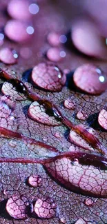 Close-up of a purple leaf with raindrops showcasing texture.