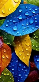 Colorful leaves with raindrops in vibrant wallpaper design.