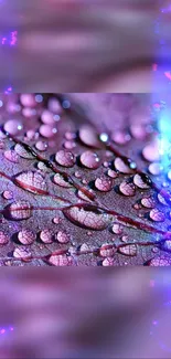 Close-up of raindrops on a vibrant leaf with purple and blue tones.