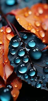 Colorful autumn leaves with raindrops on a dark background.