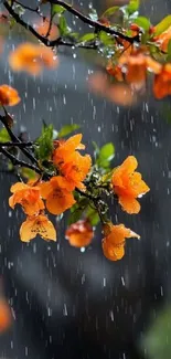 Orange blossoms in rain creating vibrant nature scene.