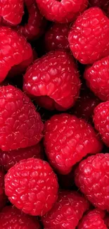 Close-up vibrant red raspberries wallpaper.