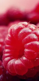 Close-up of fresh raspberries with a vibrant red texture.