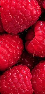 Close-up of fresh, vibrant red raspberries in a colorful fruit wallpaper.