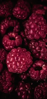 Close-up of vivid dark red raspberries for a mobile wallpaper.