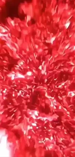 Vibrant red abstract art wallpaper design.