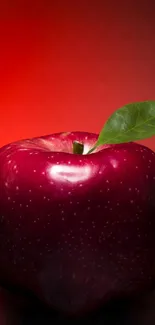 Vibrant red apple with a green leaf against a red background.