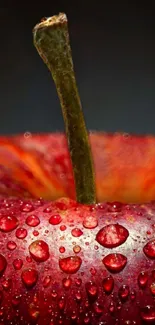 Close-up of a red apple with glistening water droplets.