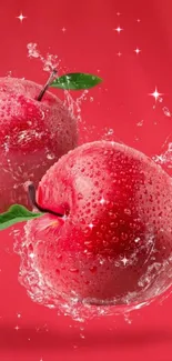 Red apples with water splash and droplets on a vibrant background.