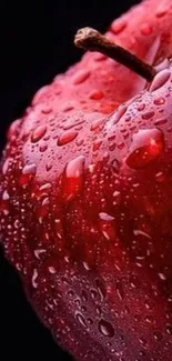 Vibrant red apple with water droplets.