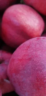 Close-up of vibrant red apples for mobile wallpaper.