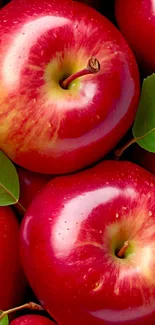 Close-up image of vibrant red apples with green leaves.