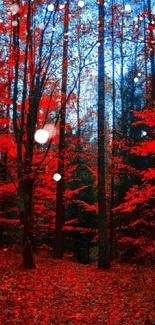 Red autumn forest path with vibrant foliage.