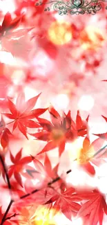 Vibrant red autumn leaves creating a beautiful and natural mobile wallpaper.