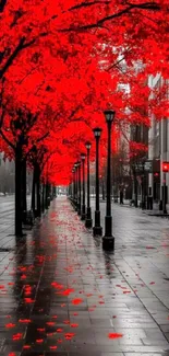 Pathway lined with vibrant red trees in autumn.