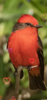 Red bird perched on a branch with green leaves.