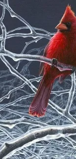 Vibrant red cardinal on icy branches for mobile wallpaper.