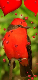 Bright red bird with hearts on green background.