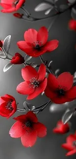 Red flowers on black and white background wallpaper.
