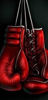 Vibrant red boxing gloves hanging on a dark background.