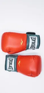 Red boxing gloves on a white background, vibrant and stylish for sports enthusiasts.