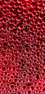 Vibrant red bubbles create a dynamic and abstract texture.