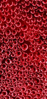 Mobile wallpaper with vibrant red bubbles on a dark background.