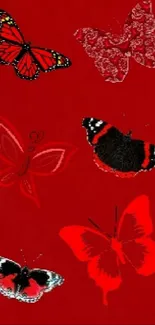 Red wallpaper with various artistic butterflies.