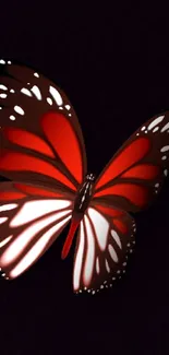 Vibrant red butterfly on dark background, perfect for mobile wallpaper.