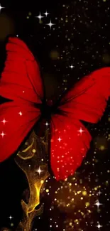 Vibrant red butterfly on dark glowing background wallpaper.